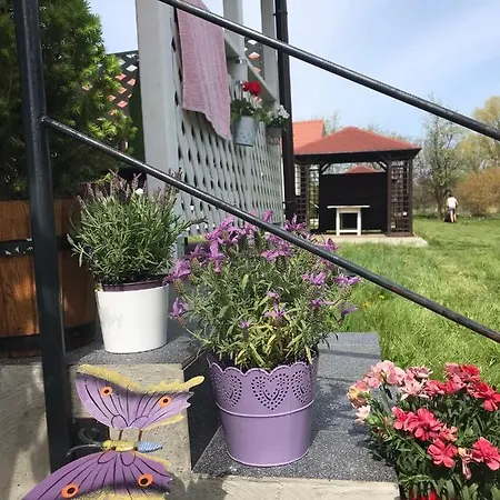 Bungalowfarm Feriehus *